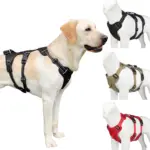 *רתמת כלב מקצועית מסיבי אוקספורד 1680D* 🐕