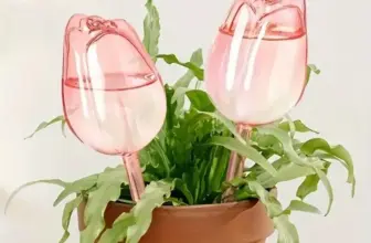 *כדורי השקיה אוטומטיים לצמחים – טוליפ ורוד* 🌷💧