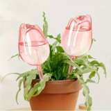 *כדורי השקיה אוטומטיים לצמחים – טוליפ ורוד* 🌷💧